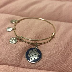 Alex and ani charm bracelet